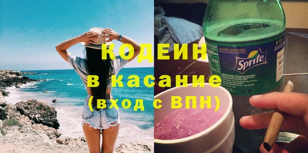 ешки Вяземский